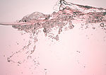 水纹