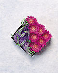 鲜花