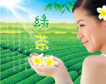 茶园绿茶美女