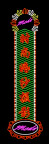 霓虹灯227