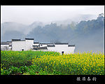 徽居春韵