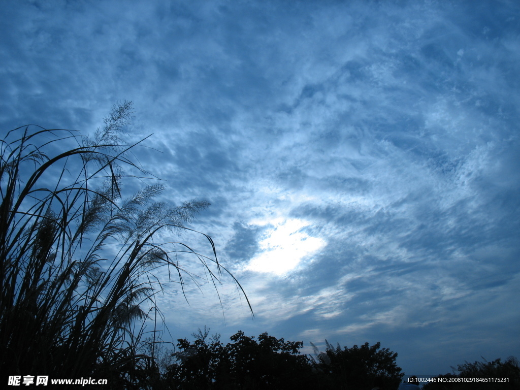 向晚的天空2