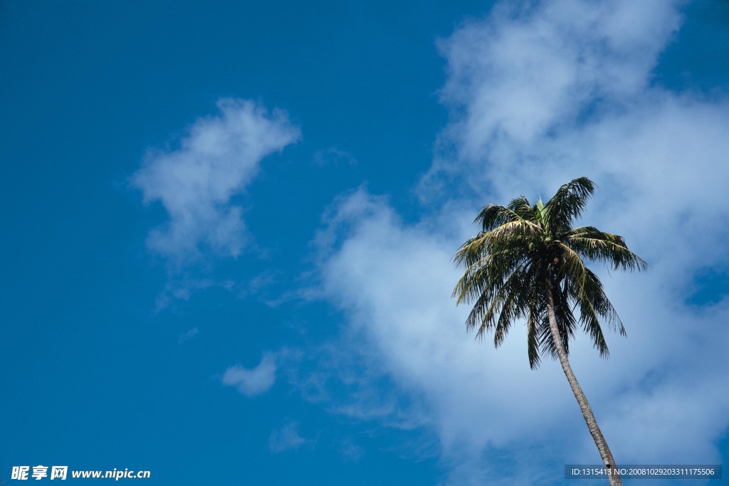 夏维夷天空
