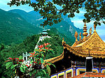 风景画
