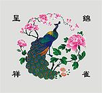孔雀矢量