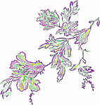 花纹