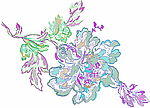 花纹