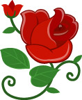花绕