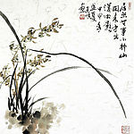 兰花