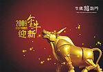 金牛迎新