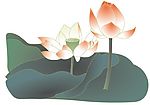 矢量荷花素材