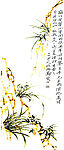 兰花