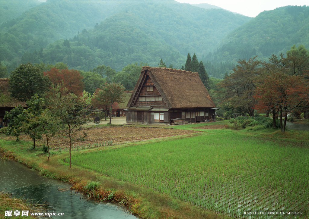 田园乡村