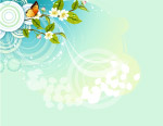 爱尔兰   梅花