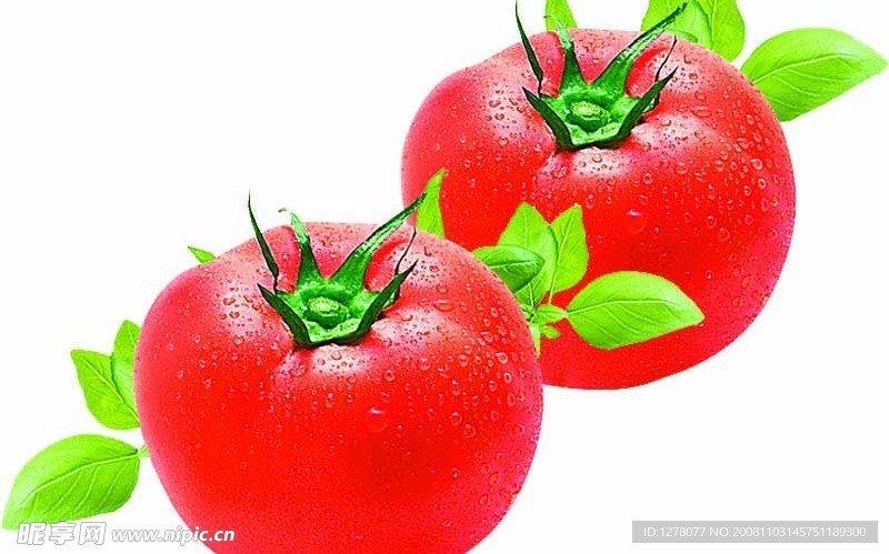 番茄