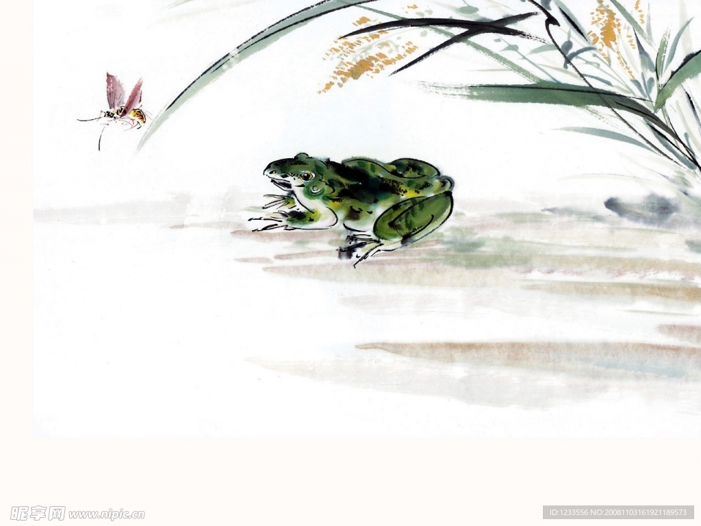 绿草蛙