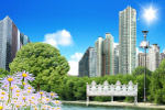 绿色家园