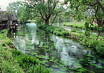 乡间小河