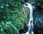 秀丽山水 瀑布美景 山涧溪流