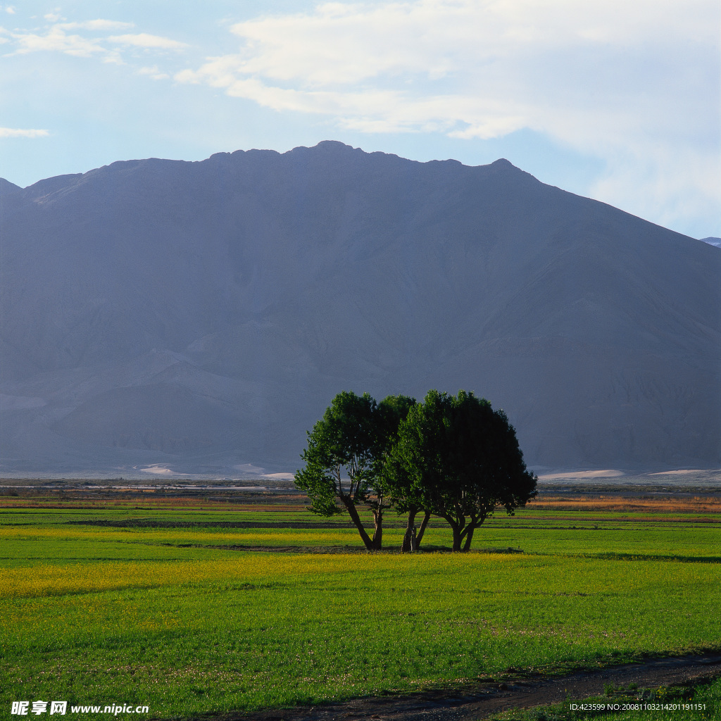 秀丽田园风光