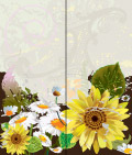 黄花和白花