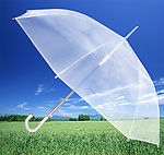 雨伞