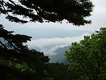 黄山
