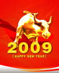 2009牛年