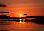 夕阳