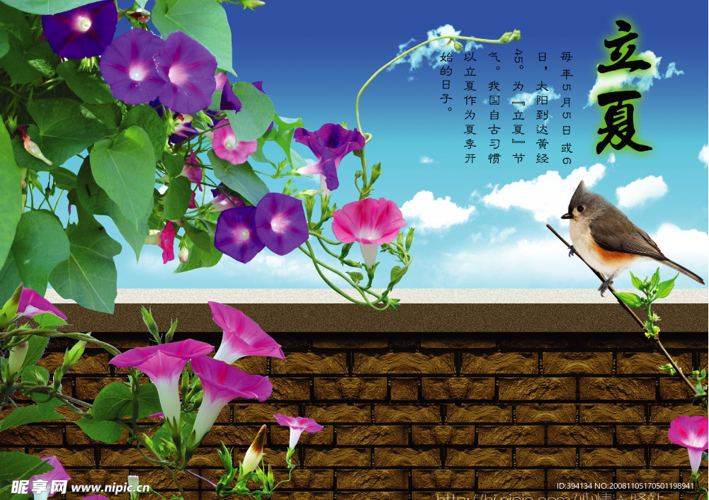 立夏