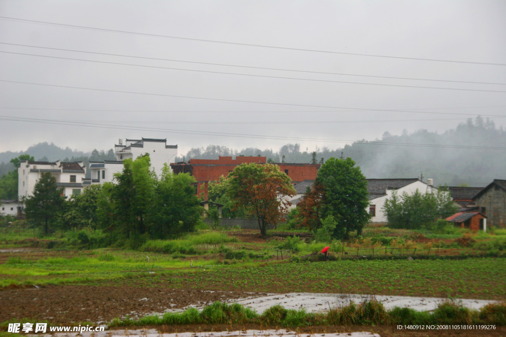 雨中美景