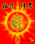 福牛拜年