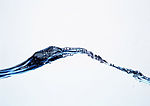 水纹