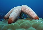 海底世界
