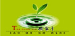 茶叶子水滴铁观音茶