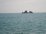 大海
