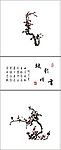 红梅