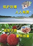新农村建设