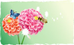 鲜花