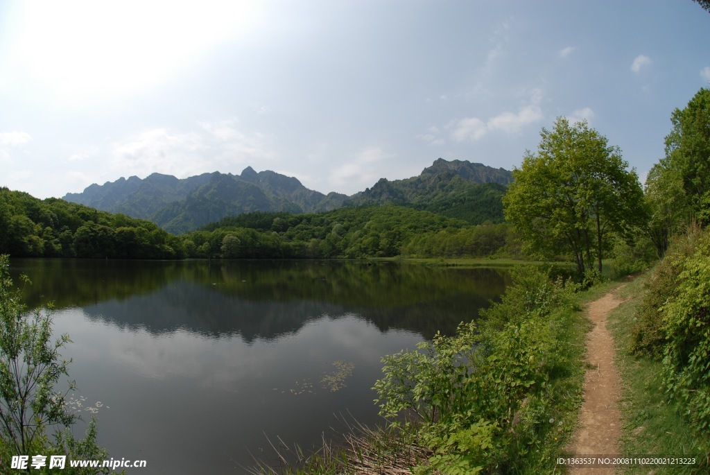 山野