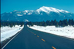 道路 冬天 雪地
