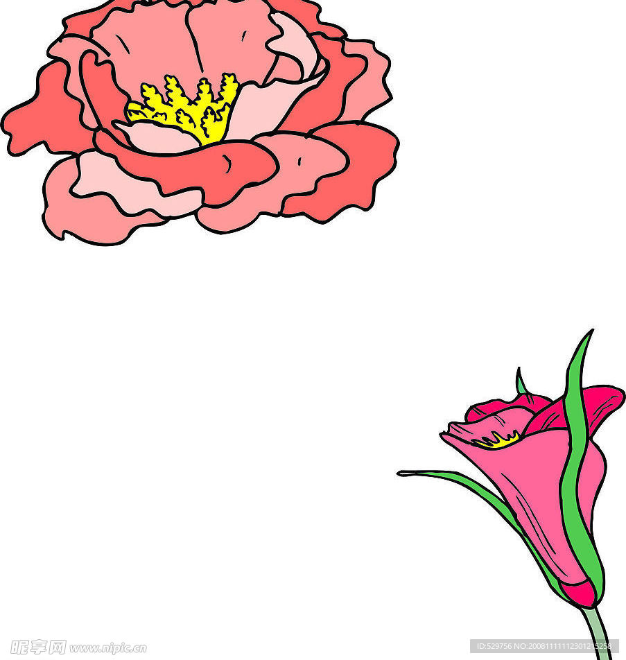 花36