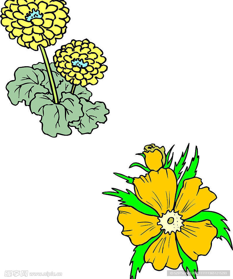花37