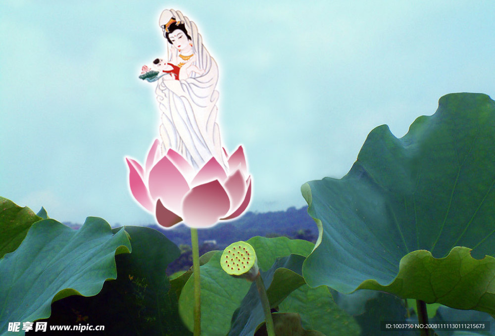 莲花
