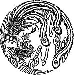 孔雀