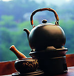 茶壶
