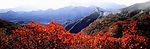 长城  红叶