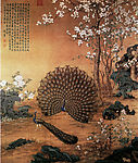 孔雀
