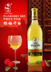 杨梅干白插页－正面