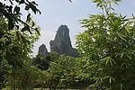 风景